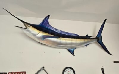 BARCODE 35 ESTATE SALES /RAIN OR SHINE/ MASSIVE SALE / CORONA